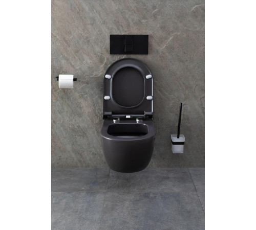 Чаша подвесного унитаза Allen Brau Priority 4.31001.AN антрацит