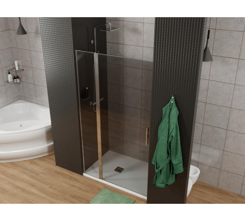 Душевая дверь Allen Brau Priority 100 3.31004.00G хром