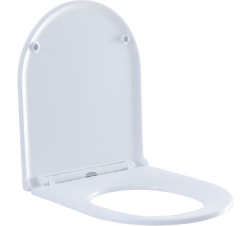 Сиденье для унитаза Aquanet Lake белый