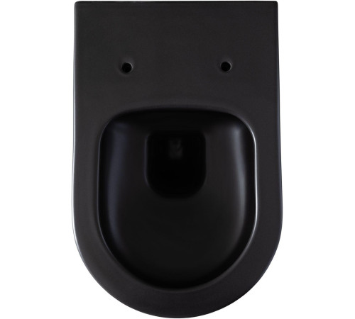 Чаша подвесного унитаза Allen Brau Priority 4.31001.31 черный матовый