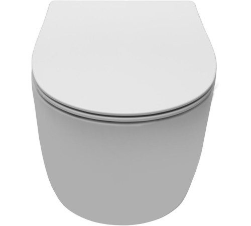 Чаша подвесного унитаза Allen Brau Fantasy 4.11004.21 белый матовый