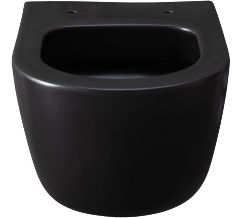 Чаша подвесного унитаза Allen Brau Priority 4.31002.31 черный матовый