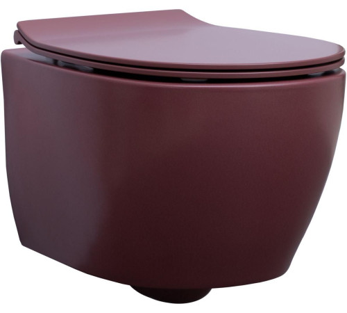 Чаша подвесного унитаза Allen Brau Fantasy 4.11004.BD бордо
