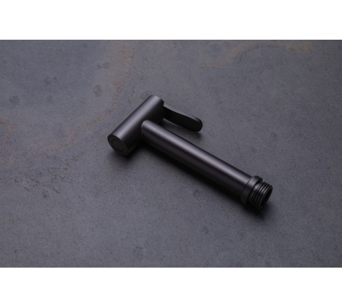 Гигиеническая лейка Allen Brau Priority 5.31028-MG графит браш