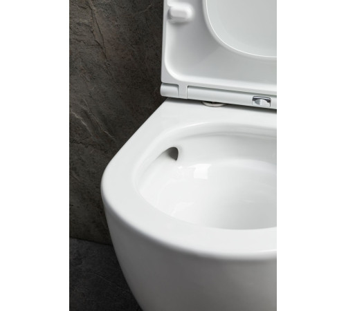 Чаша подвесного унитаза Allen Brau Priority Tornado 4.31009.20 белый глянец