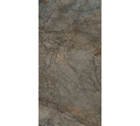 Керамогранит Сильвер Рут DL502920R Серый матовый 60х119.5