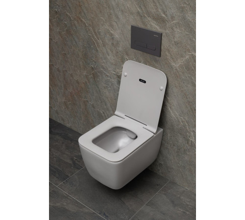 Чаша подвесного унитаза Allen Brau Liberty 4.33007.AN антрацит