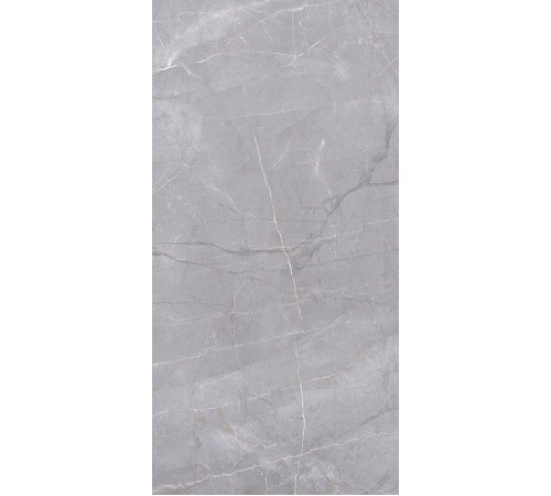 Керамогранит Риальто SG560722R Серый лаппатированный 60х119.5