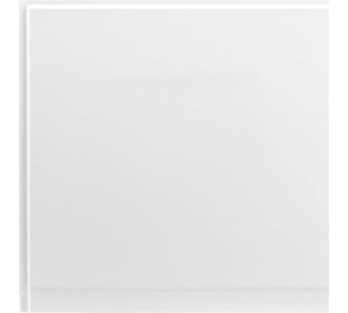 Боковой экран Aquanet Palma 60 L