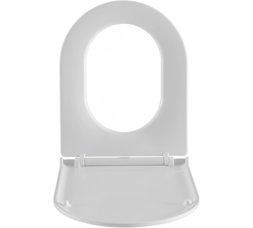 Чаша напольного унитаза Aquanet Ray-C