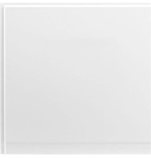 Боковой экран Aquanet Palma 60 R