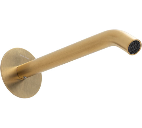 Излив Allen Brau Priority 5.31B18-GB золото