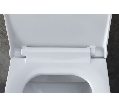 Чаша подвесного унитаза Allen Brau Infinity 4.21011.20 белый глянец