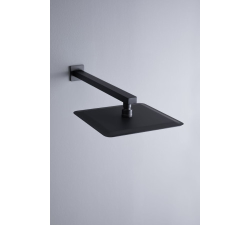 Верхний душ Allen Brau Infinity 5.21019-31 черный матовый