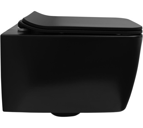 Чаша подвесного унитаза Allen Brau Liberty 4.33007.31 черный матовый