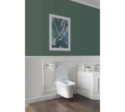 Унитаз подвесной Aquanet Rimless Roll-W CL-12249D