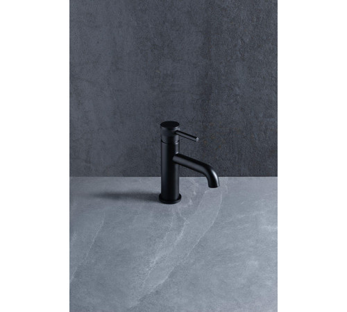 Смеситель для раковины Allen Brau Priority 5.31001-31 черный матовый