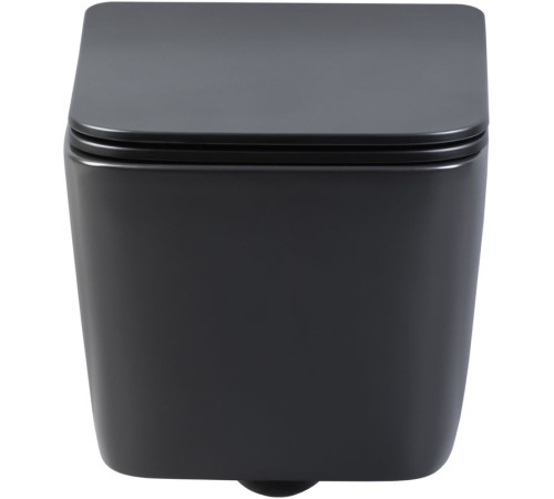 Унитаз подвесной Aquanet Rimless Tavr-W BL-103N-WHT black черный матовый