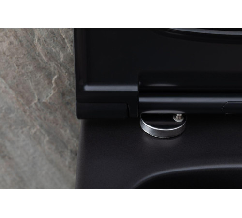 Чаша подвесного унитаза Allen Brau Priority 4.31001.31 черный матовый