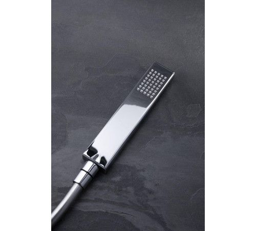 Душевая лейка Allen Brau Infinity 5.21022-00 хром