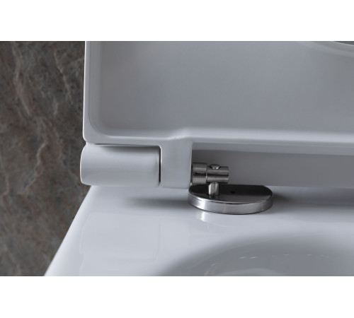 Чаша подвесного унитаза Allen Brau Reality 4.32006.20 белый глянец