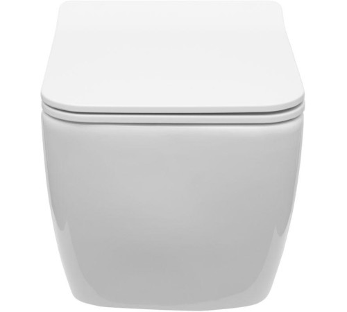 Чаша подвесного унитаза Allen Brau Liberty 4.33007.20 белый