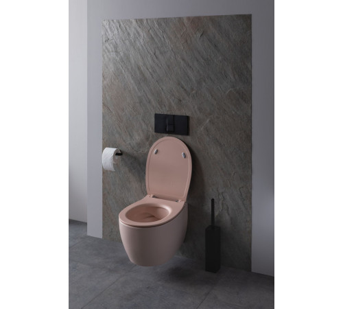 Чаша подвесного унитаза Allen Brau Fantasy 4.11004.SM розовый