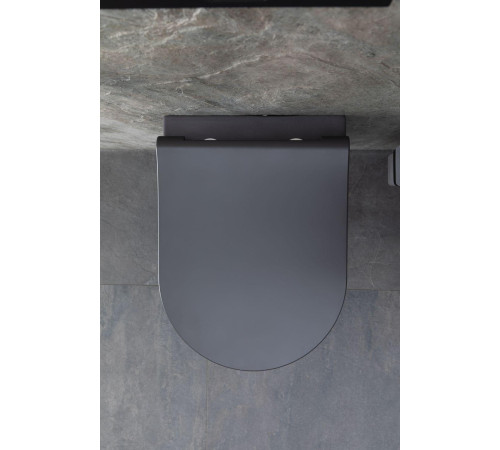 Чаша подвесного унитаза Allen Brau Priority 4.31002.AN антрацит