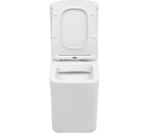 Чаша напольного унитаза Aquanet Rimless Tavr-C1 BL-103N-TPT