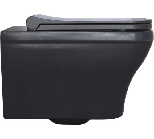 Чаша подвесного унитаза Allen Brau Infinity 4.21011.AN антрацит