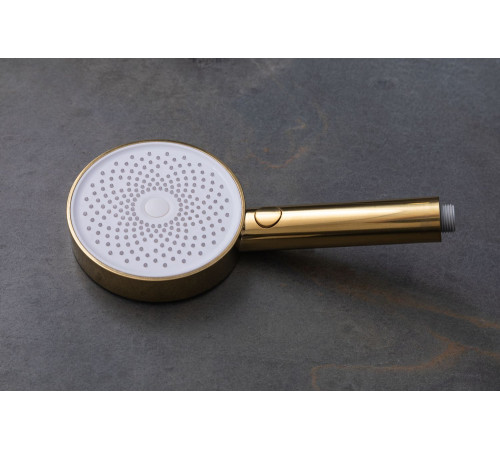 Душевая лейка Allen Brau Priority 5.31B20-GB золото