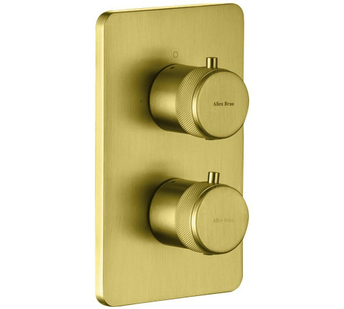 Смеситель для ванны Allen Brau Priority 5.31213-GB (с внутренней частью, 2 выхода) золото