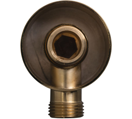 Шланговое подключение Allen Brau Priority 5.31A15-GB золото