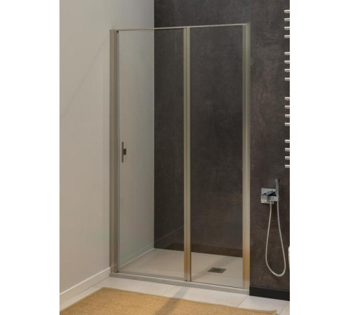 Душевая дверь Allen Brau Priority 100 3.31029.BA серебро браш