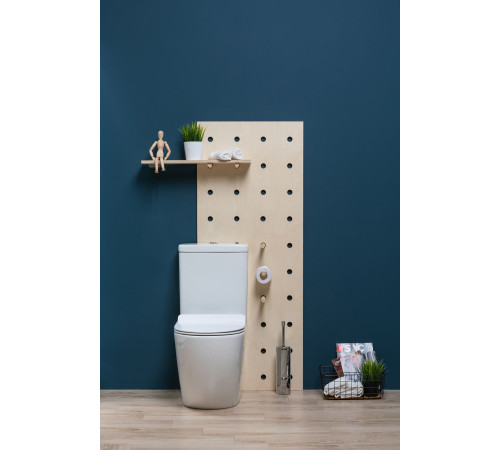 Чаша напольного унитаза Aquanet Rimless Cetus-C1 BL-102N-TPT