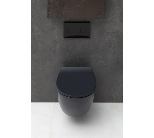 Крышка-сиденье для унитаза Allen Brau Fantasy Smartfix, Soft-Close 4.11005.31 черный матовый