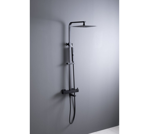 Душевая стойка Allen Brau Infinity 5.21029-31 черный матовый