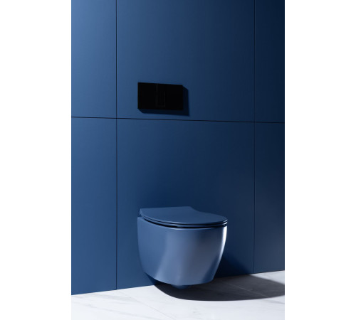 Чаша подвесного унитаза Allen Brau Fantasy 4.11004.ID индиго