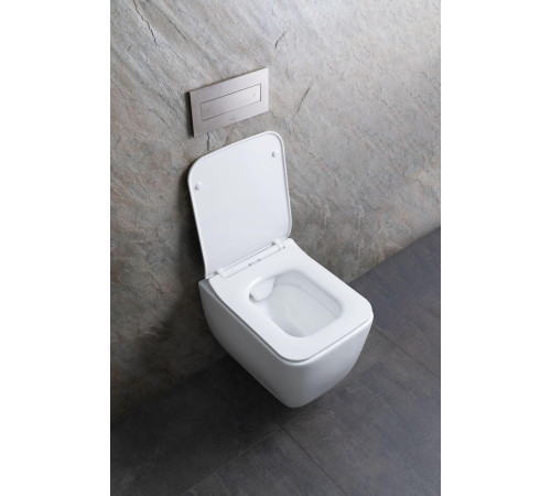 Чаша подвесного унитаза Allen Brau Liberty 4.33007.21 белый матовый