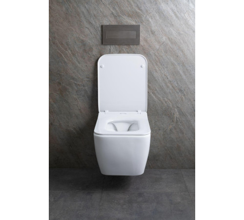 Чаша подвесного унитаза Allen Brau Liberty 4.33007.21 белый матовый