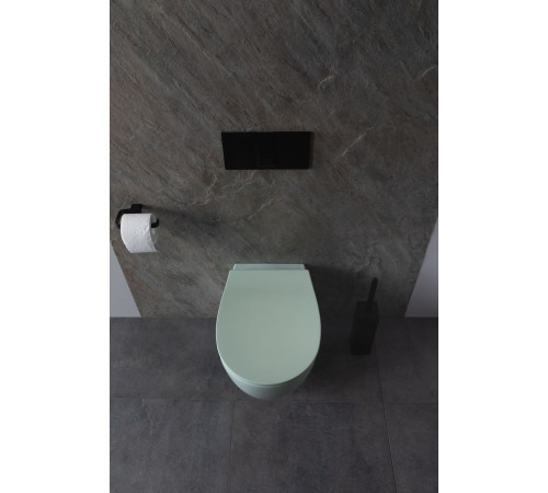 Чаша подвесного унитаза Allen Brau Fantasy 4.11004.MT мятный