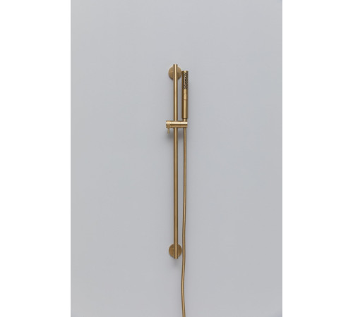 Душевой гарнитур Allen Brau Priority 5.31010-GB золото