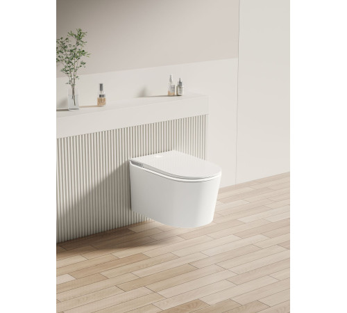 Унитаз подвесной Allen Brau Smart 4.I1001.20 белый, с функцией биде