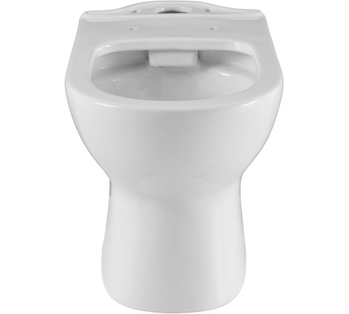 Чаша напольного унитаза Aquanet Ray-C