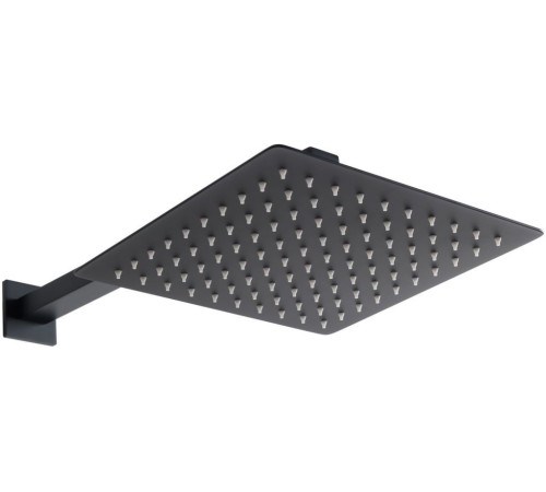 Верхний душ Allen Brau Infinity 5.21019-31 черный матовый