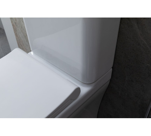 Чаша напольного унитаза Allen Brau Infinity 4.21012.20 белый глянец