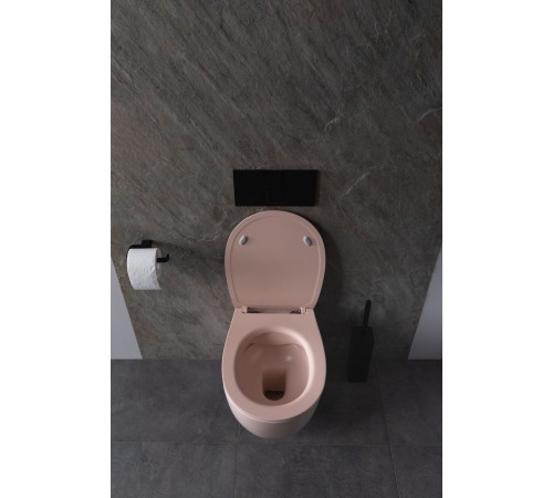 Чаша подвесного унитаза Allen Brau Fantasy 4.11004.SM розовый