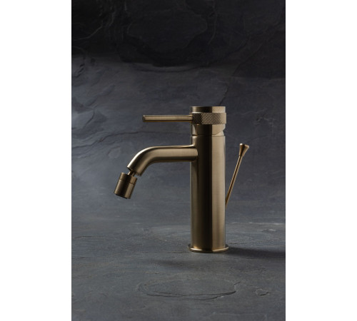 Смеситель для биде Allen Brau Priority 5.31A04-GB (с донным клапаном) золото