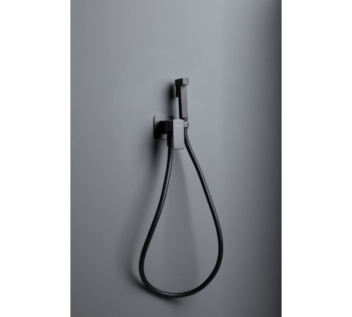 Смеситель с гигиеническим душем Allen Brau Infinity 5.21005-31 (с внутренней частью) черный матовый