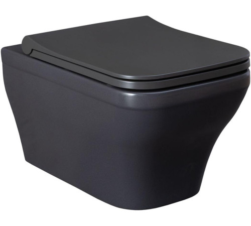 Чаша подвесного унитаза Allen Brau Infinity 4.21011.AN антрацит